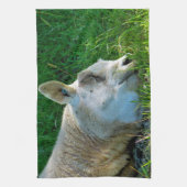 SCHUHE HANDTUCH (Vertikal)