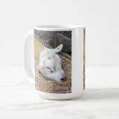 SCHUHE KAFFEETASSE (Vorderseite Links)