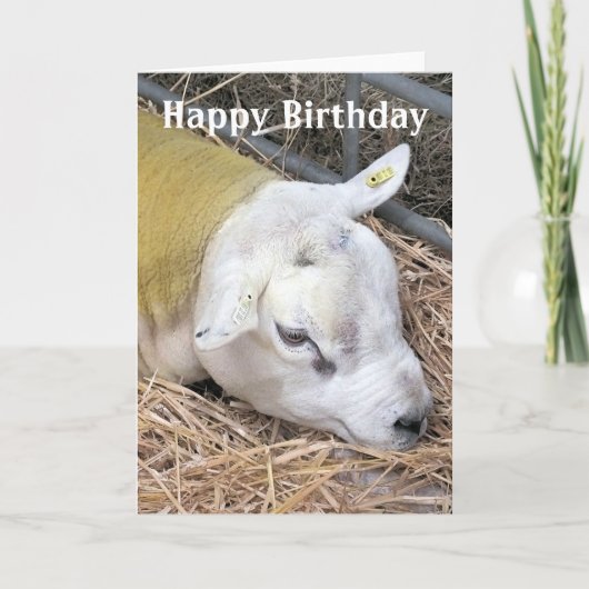 SCHUHE KARTE (Vorderseite)