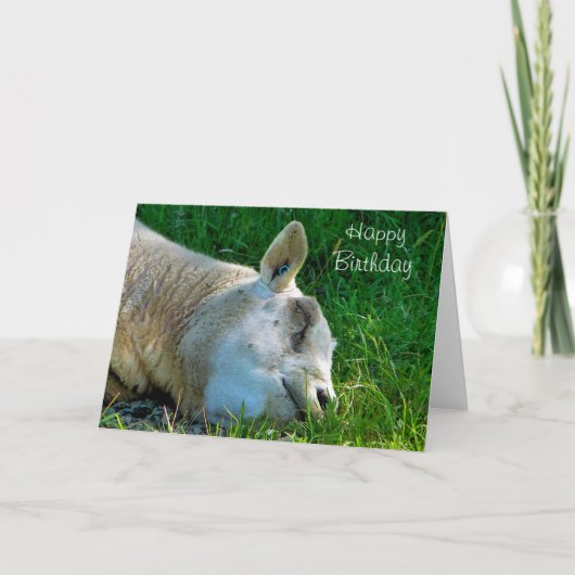 SCHUHE KARTE (Vorderseite)