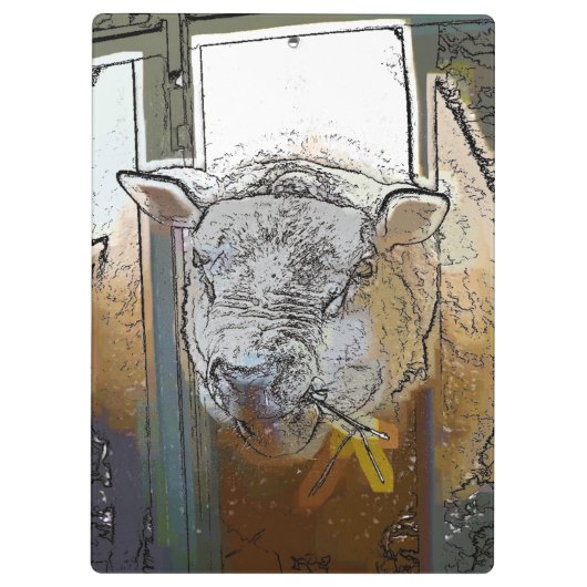 SCHUHE KLEMMBRETT (Rückseite)