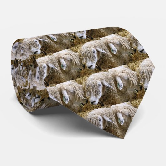 SCHUHE KRAWATTE (Gerollt)