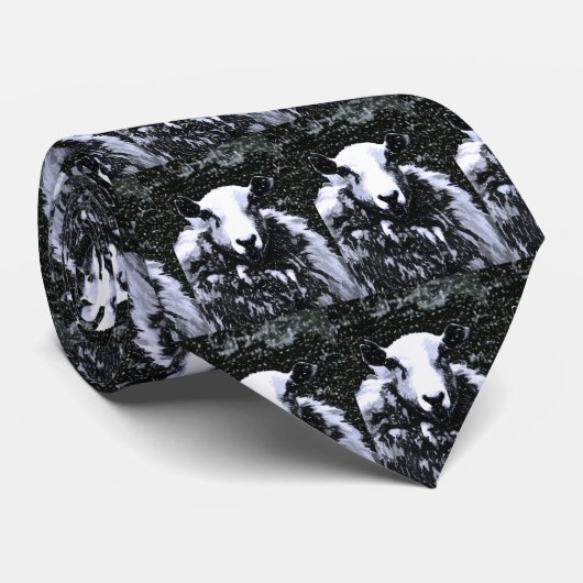 SCHUHE KRAWATTE (Gerollt)