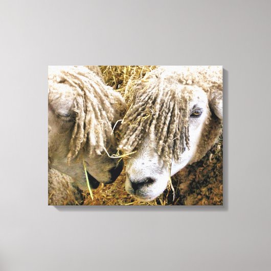 SCHUHE LEINWANDDRUCK (Vorderseite)