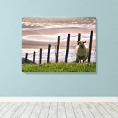 SCHUHE LEINWANDDRUCK (Insitu (Holzboden))