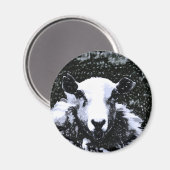 SCHUHE MAGNET (Vorderseite/Rückseite)