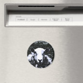 SCHUHE MAGNET (In Situ (Geschirrspüler))