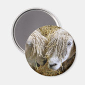 SCHUHE MAGNET (Vorderseite/Rückseite)