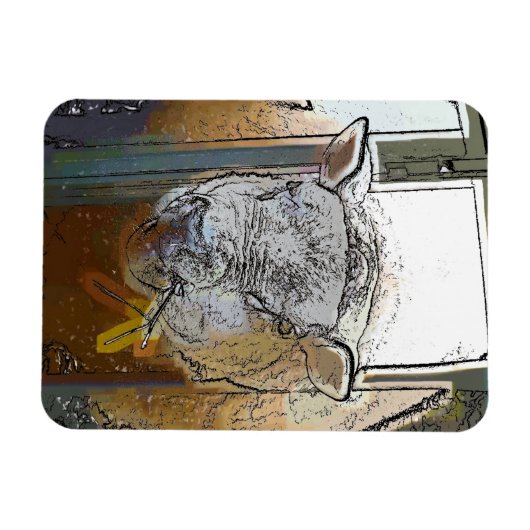 SCHUHE MAGNET (Horizontal)