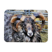 SCHUHE MAGNET (Horizontal)