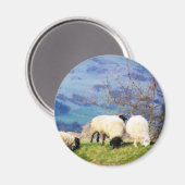 SCHUHE MAGNET (Vorderseite/Rückseite)