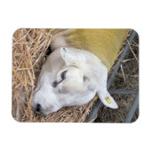 SCHUHE MAGNET (Horizontal)