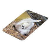 SCHUHE MAGNET (Linke Seite)