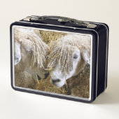 SCHUHE METALL BROTDOSE (Rückseite)