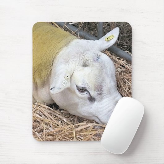 SCHUHE MOUSEPAD (Mit Mouse)