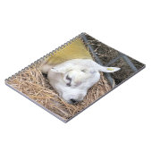 SCHUHE NOTIZBLOCK (Linke Seite)