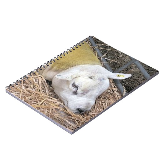 SCHUHE NOTIZBLOCK (Linke Seite)