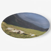 SCHUHE PAPPTELLER (Schrägansicht)