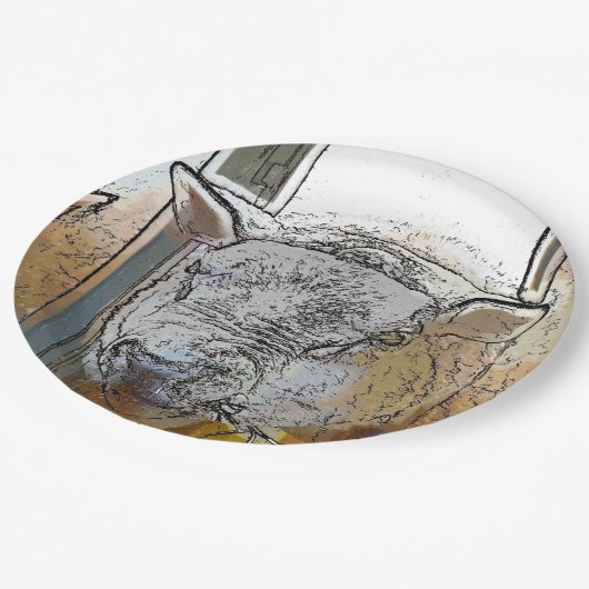 SCHUHE PAPPTELLER (Schrägansicht)