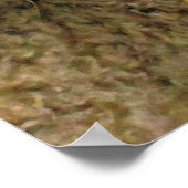 SCHUHE POSTER (Ecke)