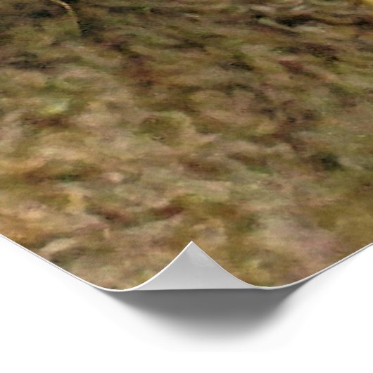 SCHUHE POSTER (Ecke)