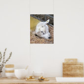 SCHUHE POSTER (Küche)