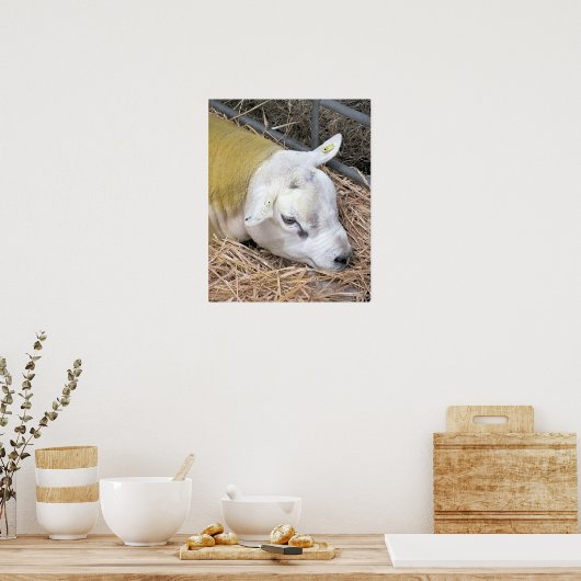 SCHUHE POSTER (Küche)