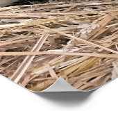 SCHUHE POSTER (Ecke)