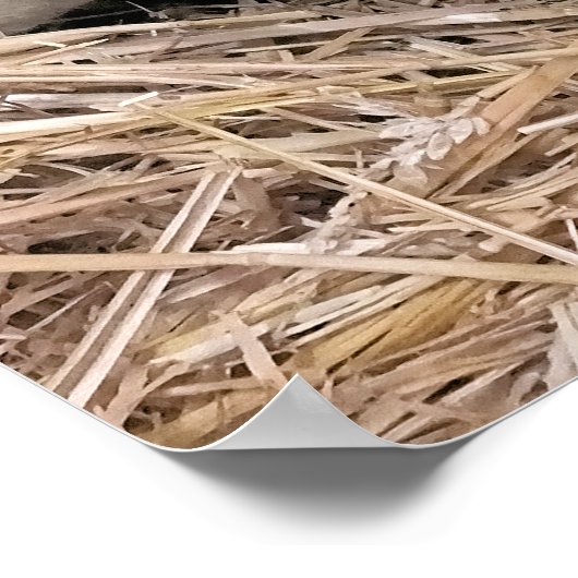 SCHUHE POSTER (Ecke)