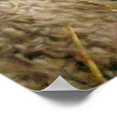 SCHUHE POSTER (Ecke)