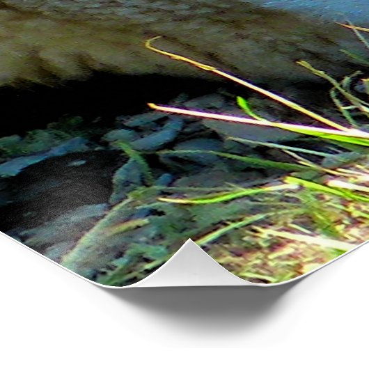 SCHUHE POSTER (Ecke)