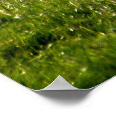 SCHUHE POSTER (Ecke)