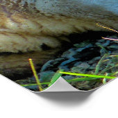 SCHUHE POSTER (Ecke)