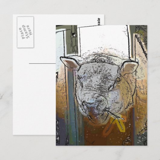 SCHUHE POSTKARTE (Vorne/Hinten)