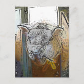 SCHUHE POSTKARTE (Vorderseite)