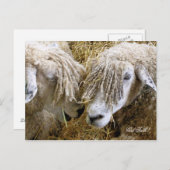 SCHUHE POSTKARTE (Vorne/Hinten)