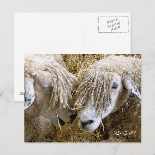 SCHUHE POSTKARTE (Vorne/Hinten)