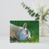 SCHUHE POSTKARTE (Stehend Vorderseite)