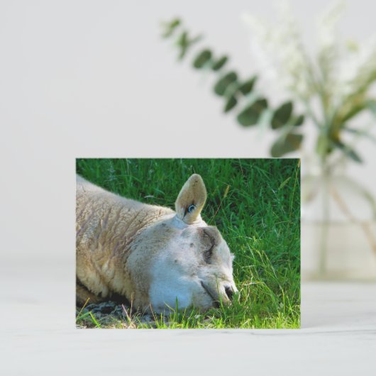 SCHUHE POSTKARTE (Stehend Vorderseite)