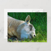 SCHUHE POSTKARTE (Vorne/Hinten)