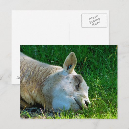 SCHUHE POSTKARTE (Vorne/Hinten)