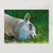 SCHUHE POSTKARTE (Vorderseite)