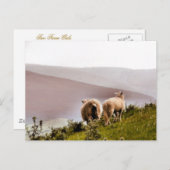 SCHUHE POSTKARTE (Vorne/Hinten)