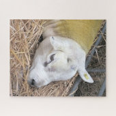 SCHUHE PUZZLE (Horizontal)