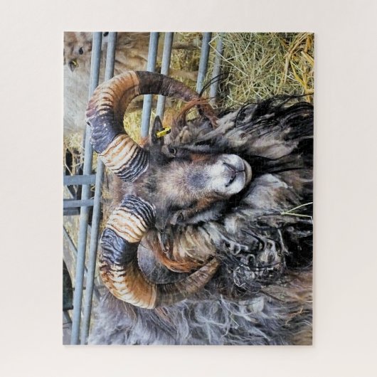 SCHUHE PUZZLE (Vertikal)