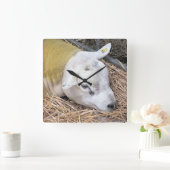 SCHUHE QUADRATISCHE WANDUHR (Zuhause)