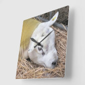 SCHUHE QUADRATISCHE WANDUHR (Winkel)