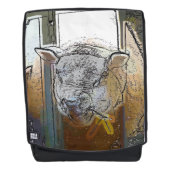 SCHUHE RUCKSACK (Vorderseite)