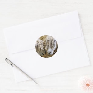 SCHUHE RUNDER AUFKLEBER