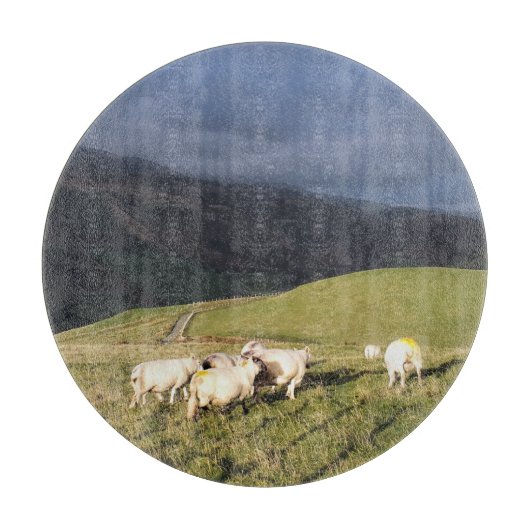 SCHUHE SCHNEIDEBRETT (Vorderseite)